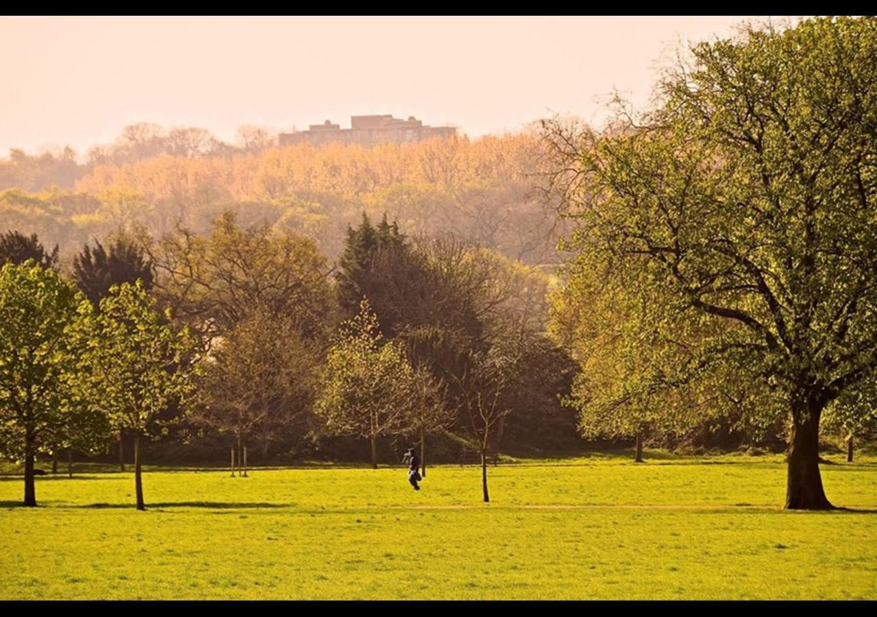 The Nest Of Forest Hill Londra Dış mekan fotoğraf